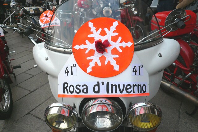 Torna il raduno della Rosa d’inverno