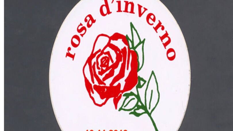 Torna la Rosa d'Inverno
