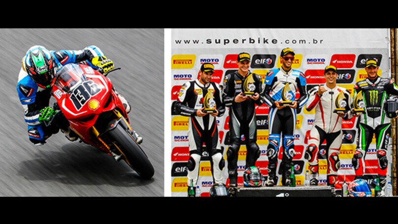 Mercado wild card portentosa