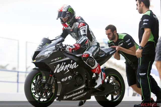 Rea: ritratto di un campione