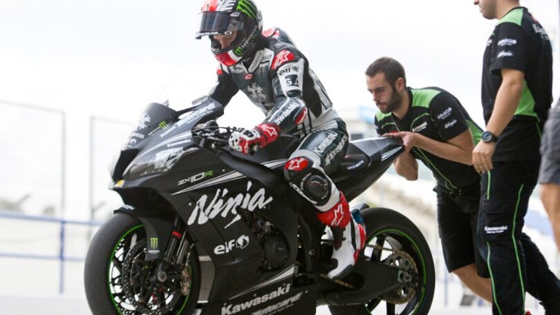 Rea: ritratto di un campione
