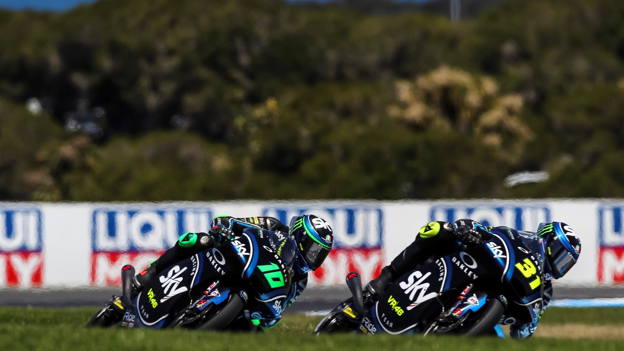 Sky Racing Team VR46, Foggia e Vietti Ramus si trasferiscono a Pesaro