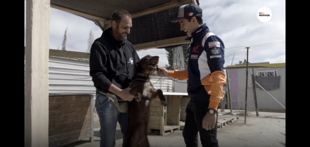 Marc Marquez incontra il suo omonimo a 4 zampe