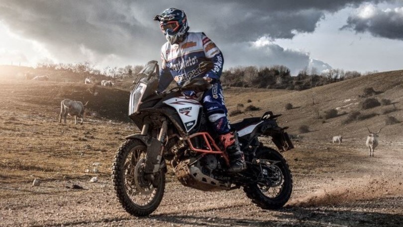 Con Fasola guiderete più... sicuri che mai