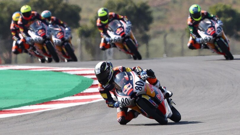 Red Bull Rookies Cup: doppietta per David Alonso a Portimao