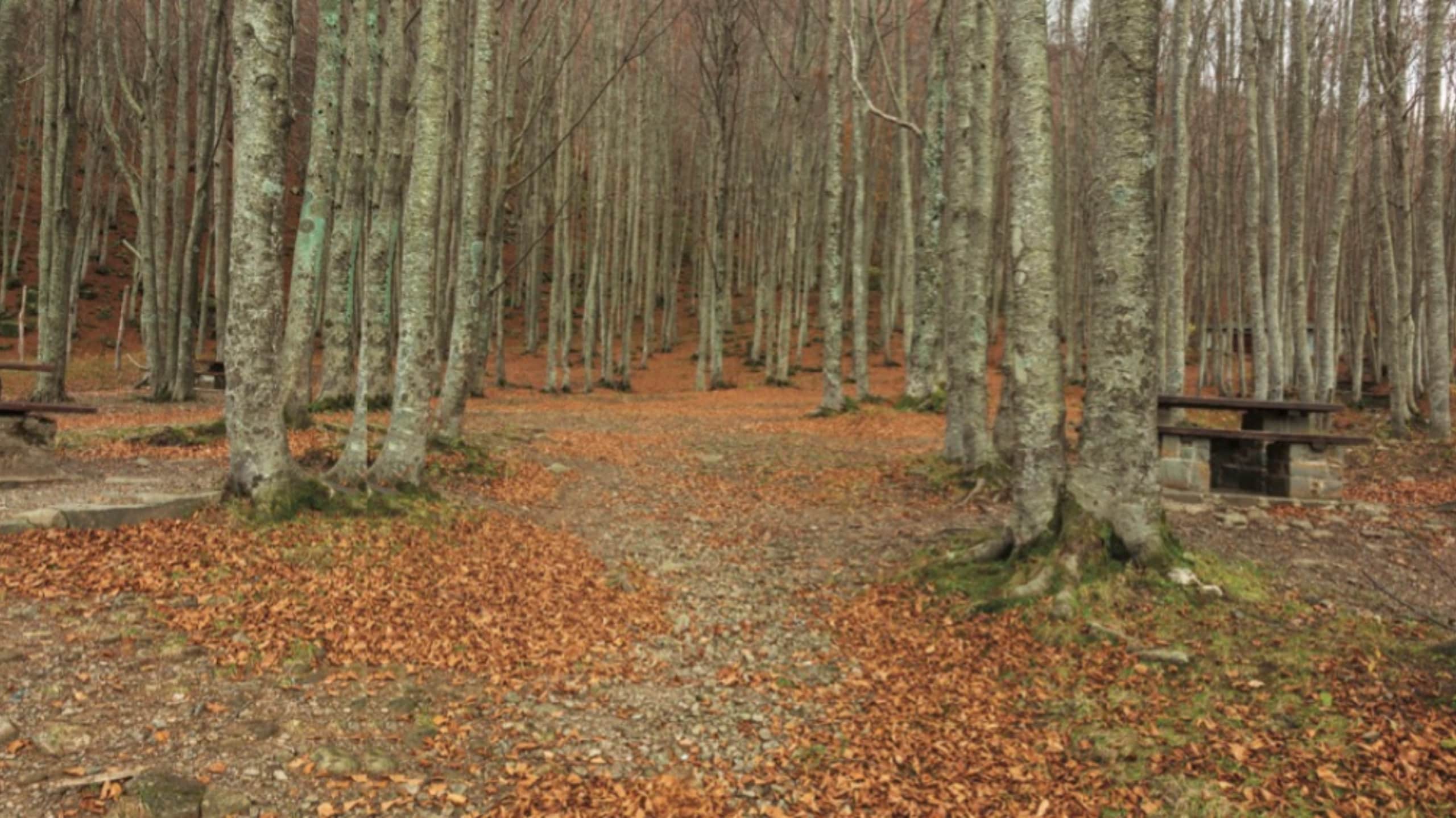 Giri e Gare: l'anello dell'Abetone