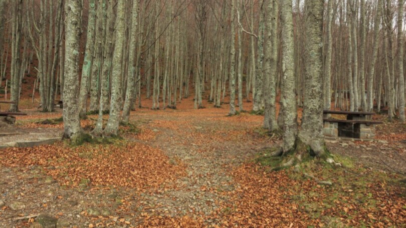 Giri e Gare: l'anello dell'Abetone