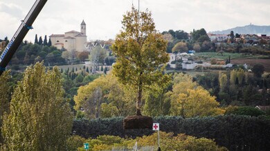 MotoGP: a Misano piantata una quercia in memoria di Marco Simoncelli