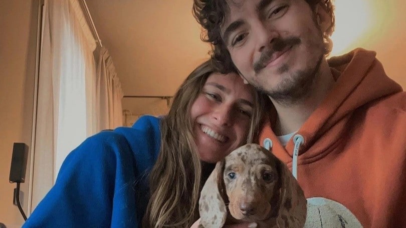 MotoGP, no Desmo for Pecco, Bagnaia prefers... Turbo!