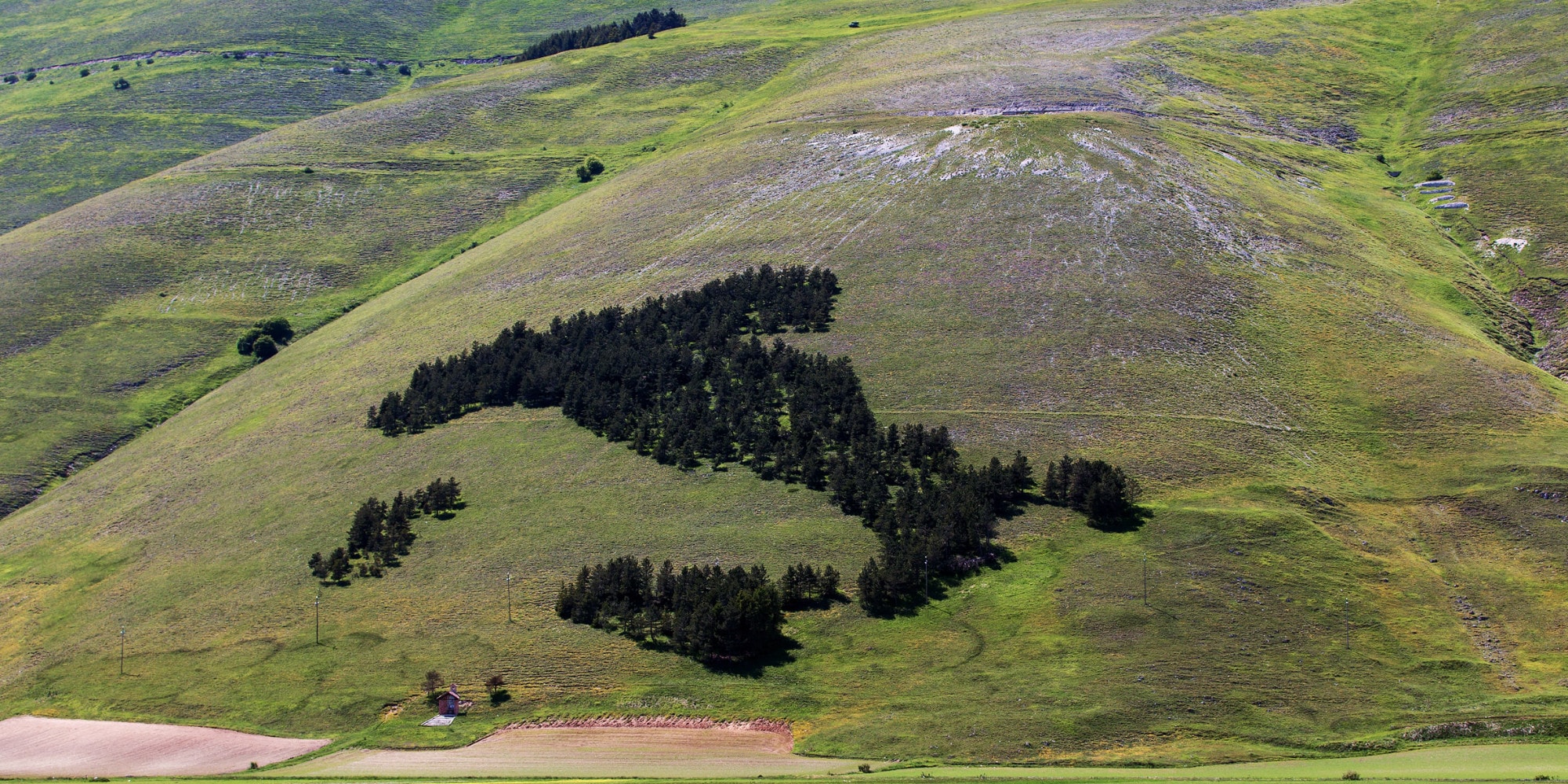 Giri e Gare: la fioritura di Castelluccio di Norcia