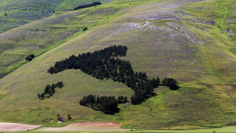 Giri e Gare: la fioritura di Castelluccio di Norcia