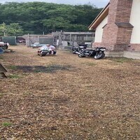 Carl Fogarty fa rombare la Honda RS250: sound da brividi