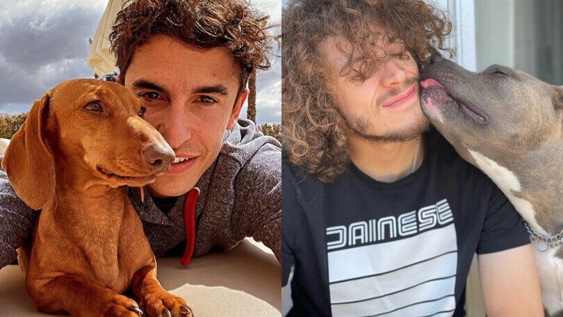 MotoGP, i piloti e i loro amici cani: da due ruote a quattro zampe