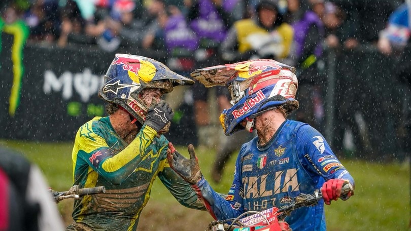 RedBud: il commento di Mattia Guadagnini