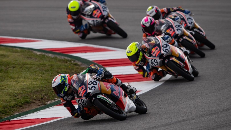 Red Bull Rookies Cup, calendario 2023: date, orari TV, dove vederla