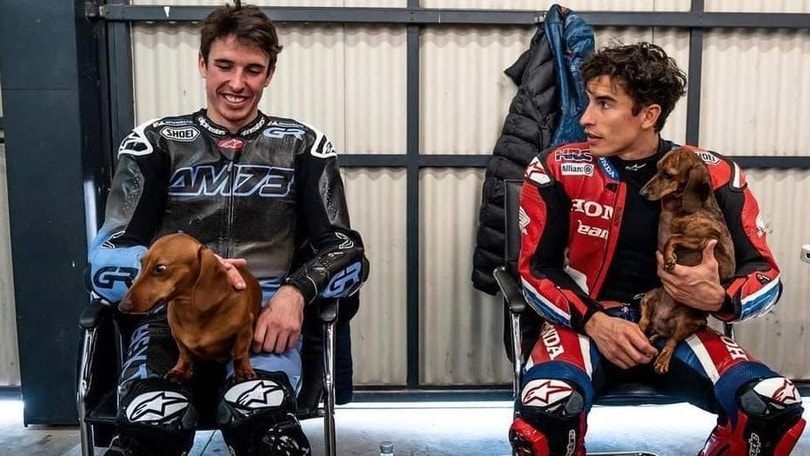 Due ruote e quattro zampe: MotoGP e "pet terapy" per i fratelli Marquez