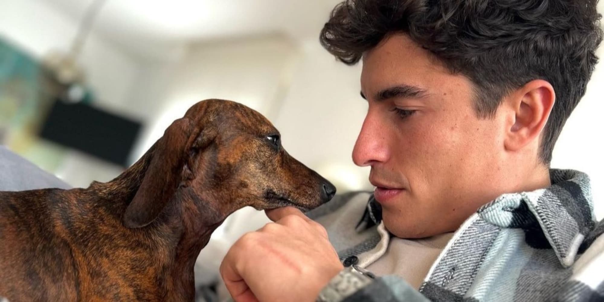 MotoGP, Marc Marquez si allena con due ospiti speciali nella natura