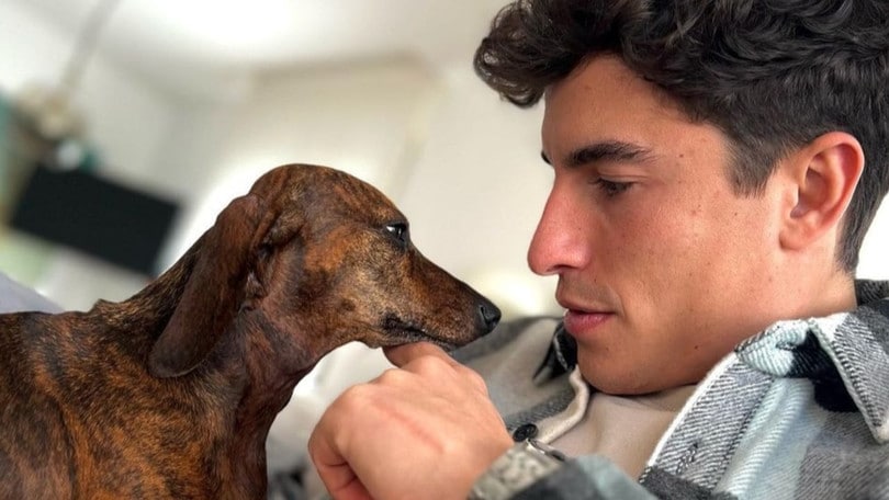 MotoGP, Marc Marquez si allena con due ospiti speciali nella natura