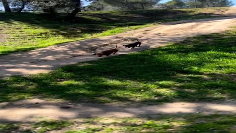 MotoGP, Marc Marquez allenamento speciale con due ospiti