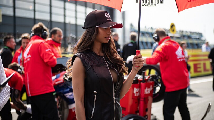 SBK, ecco le ombrelline presenti al round olandese ad Assen