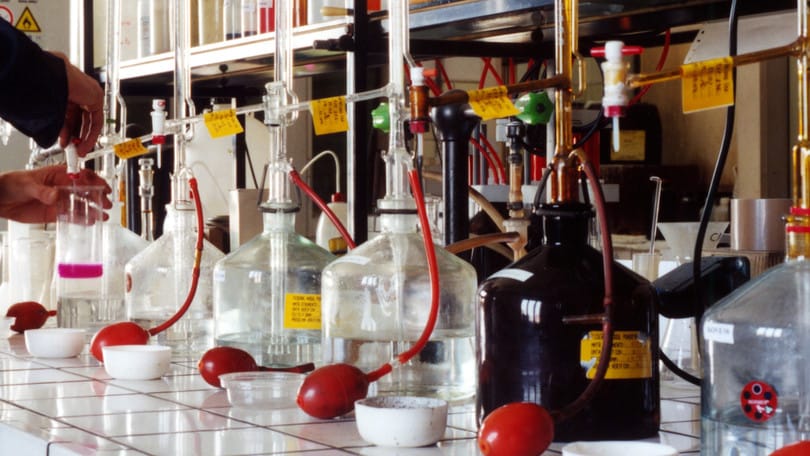 Tribologia e reologia | Officina