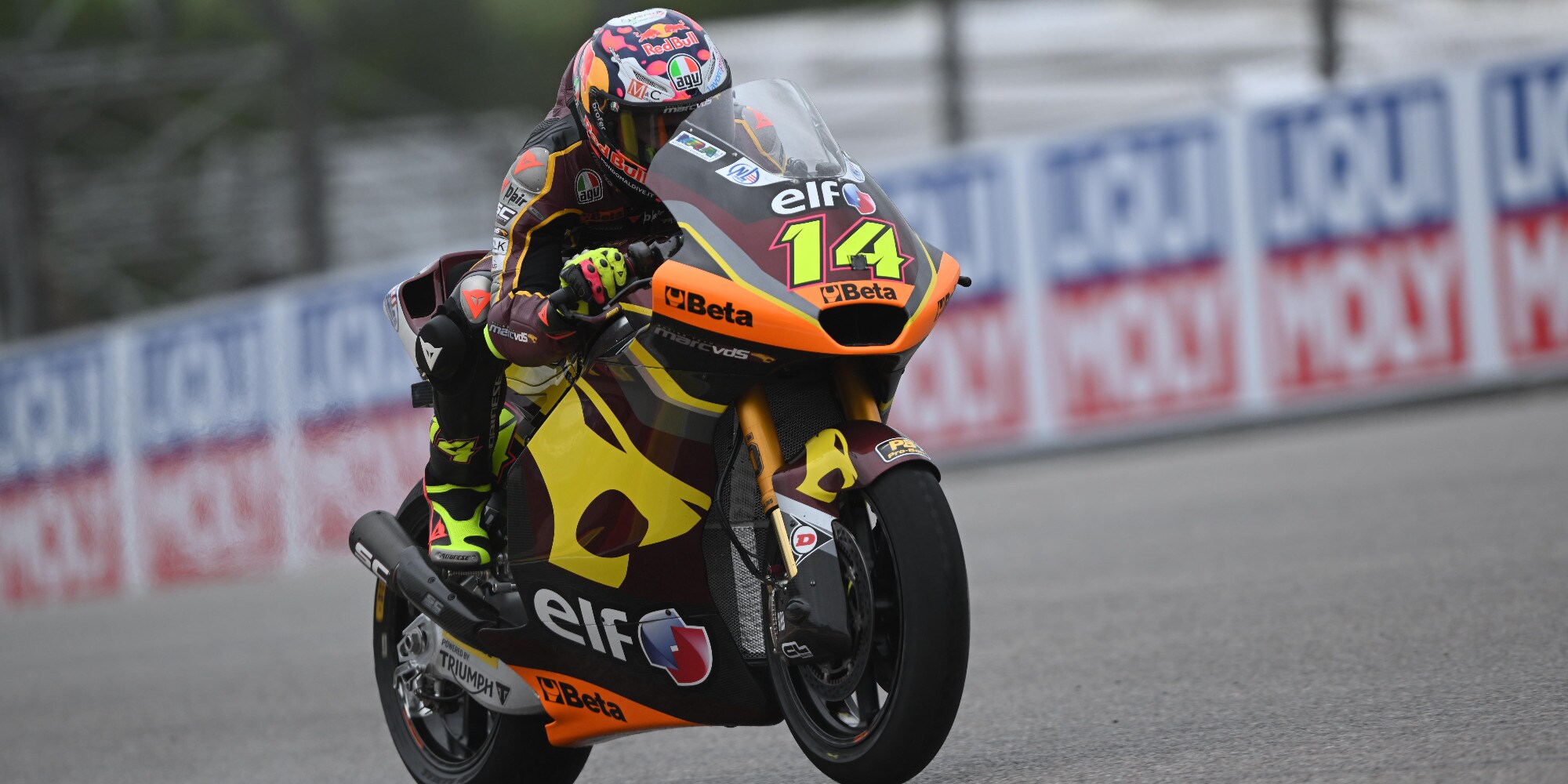 Moto2 FP2: Tony Arbolino il più veloce, Pedro Acosta leader di giornata