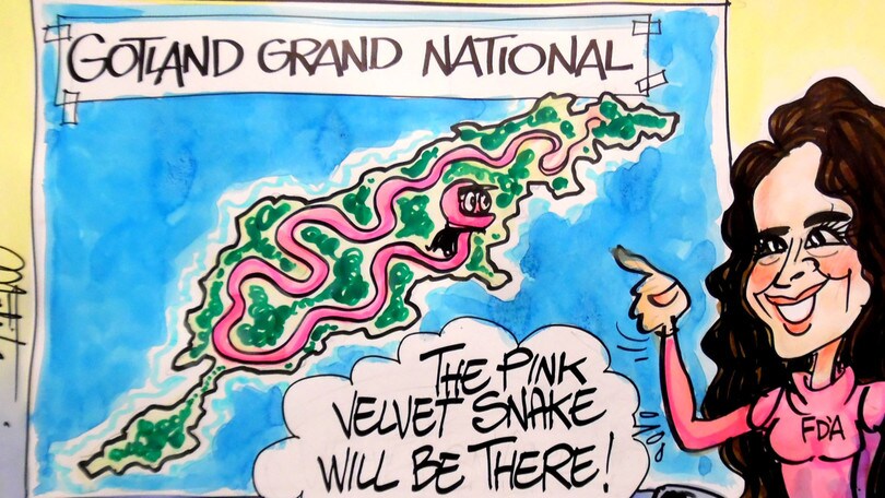 Francesca D'Alonzo, dal Friuli all'Iraq | Io Guido da Sola