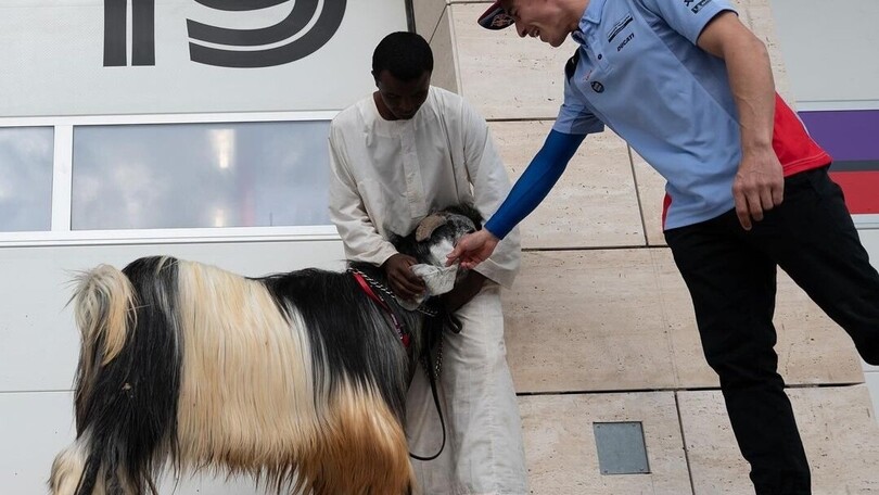 MotoGP, quando un GOAT incontra un… “goat”