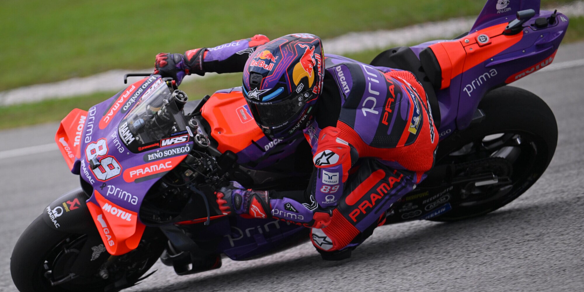MotoGP, GP Malesia, Martin: "Cadere aiuta, serve a trovare il limite"