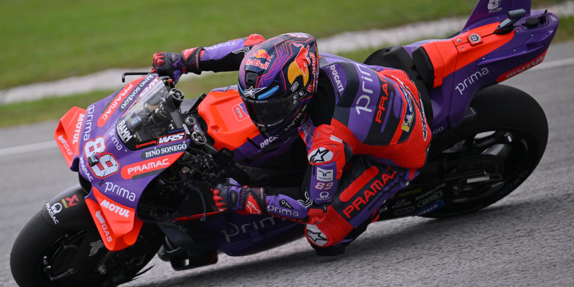 MotoGP, GP Malesia, Martin: "Cadere aiuta, serve a trovare il limite"