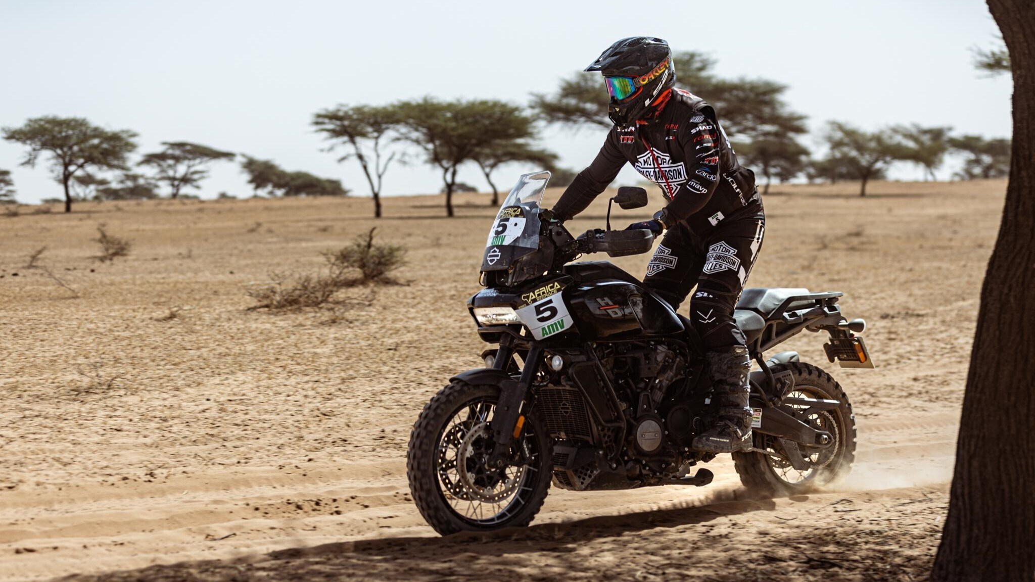 L'impresa di Pedrero all'Africa Eco Race: in Top 10 con l'Harley-Davidson