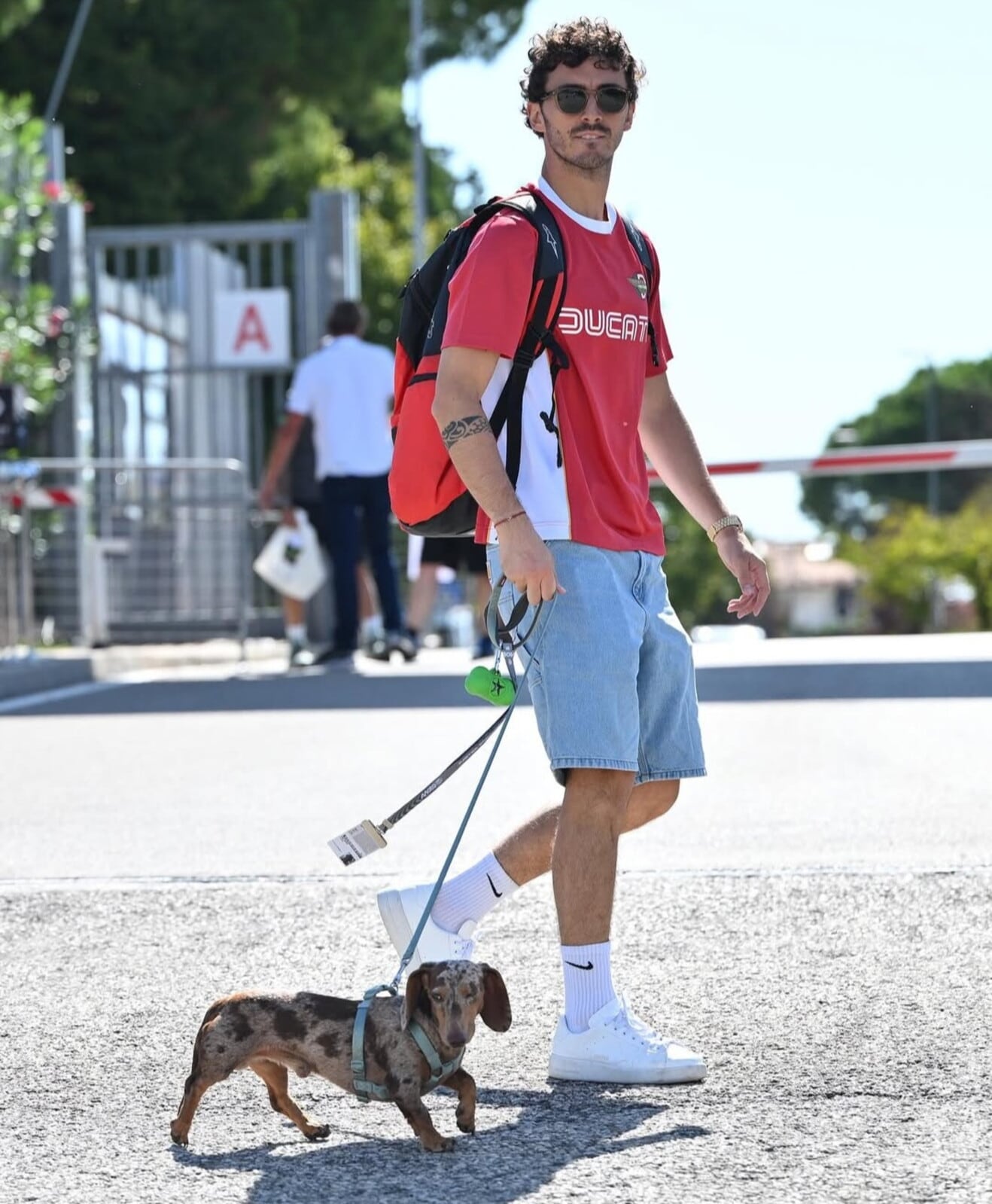MotoGP, anche i cani dei piloti hanno il pass per l'ingresso nel paddock