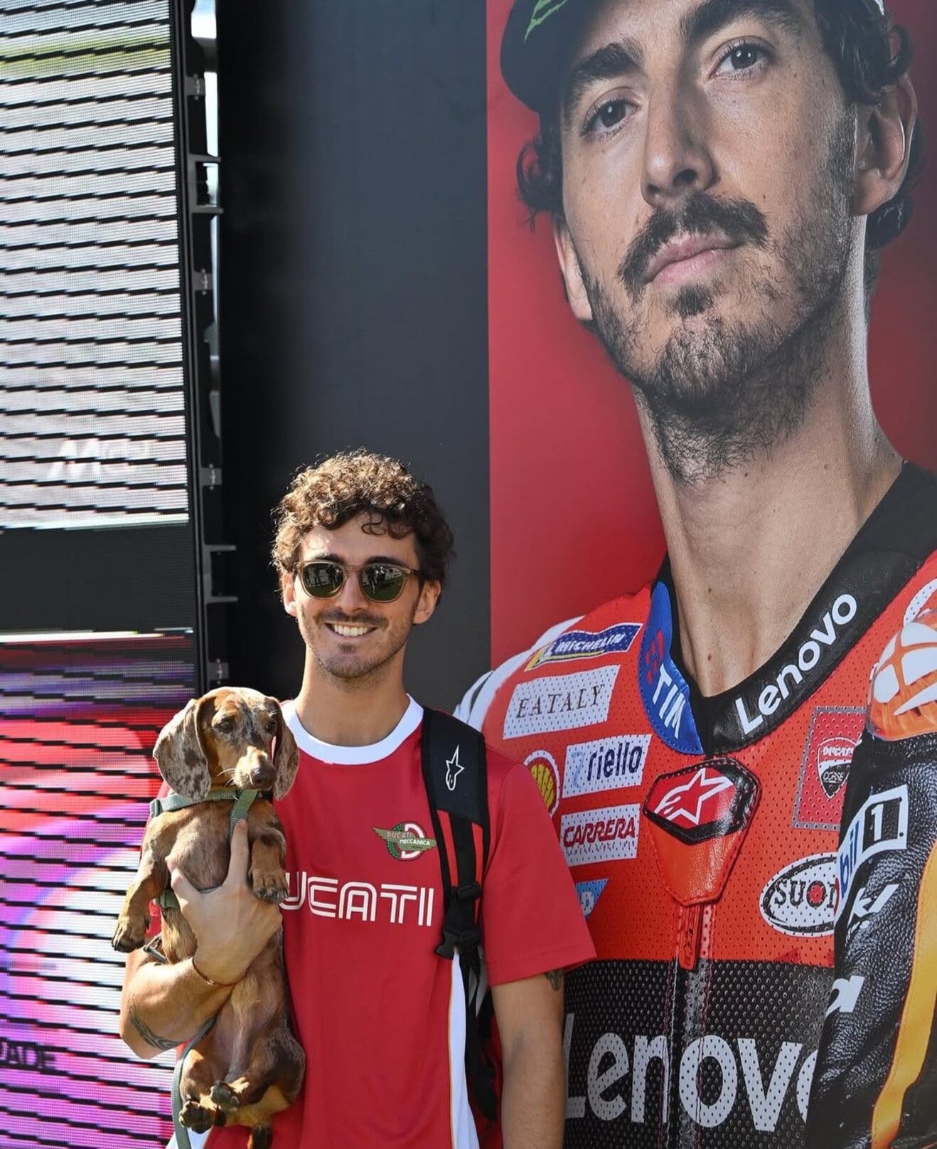 MotoGP, anche i cani dei piloti hanno il pass per l'ingresso nel paddock
