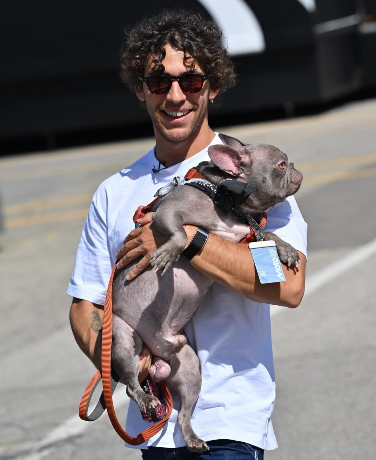 MotoGP, anche i cani dei piloti hanno il pass per l'ingresso nel paddock