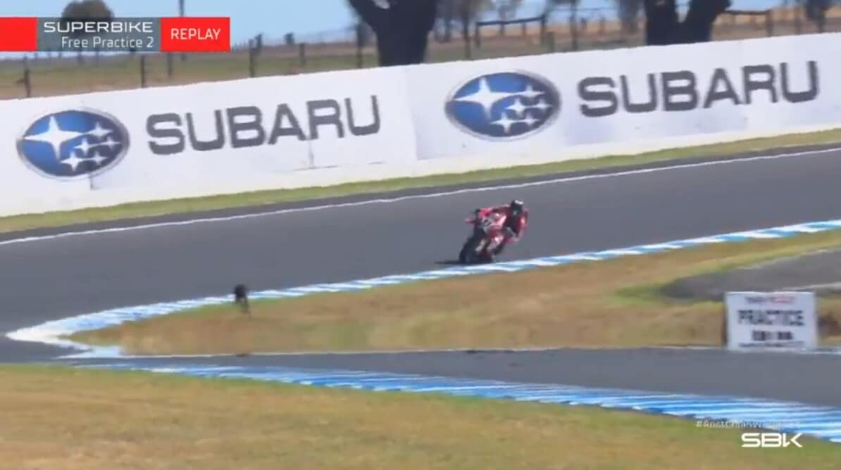 SBK, solo un canguro ferma Bulega nel venerdì di Phillip Island