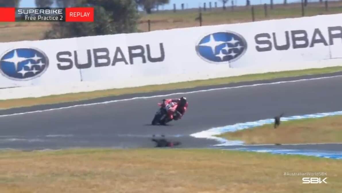 SBK, solo un canguro ferma Bulega nel venerdì di Phillip Island