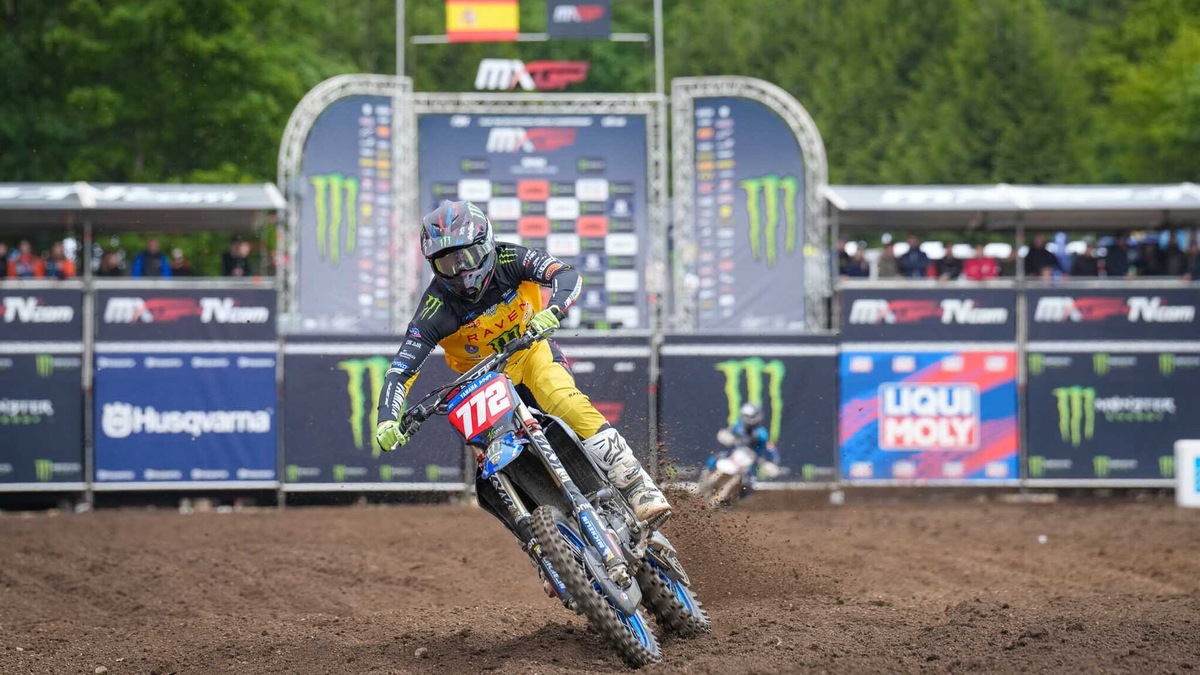 EMX250: imbattibile Reisulis