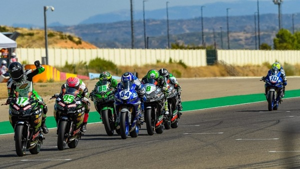 Meuffels e la gaffe delle... esultanze anticipate - VIDEO