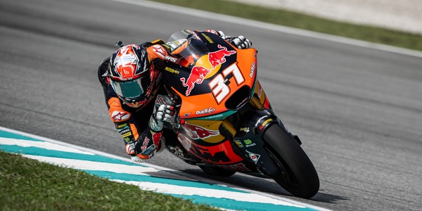 Moto2 Malesia: Pedro Acosta è campione del mondo per la seconda volta