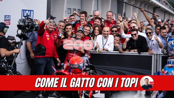 Box del direttore: COME IL GATTO CON I TOPI