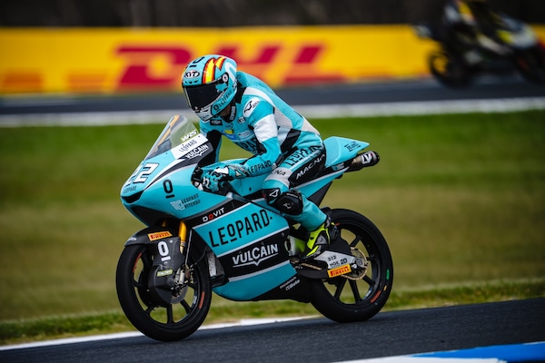 Moto3 Australia: David Almansa fa la voce grossa a Phillip Island, sesto Guido Pini