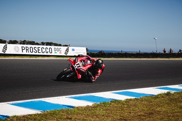 SBK, incontri del terzo tipo per Bulega a Phillip Island: “Il canguro? Me la sono fatta sotto”