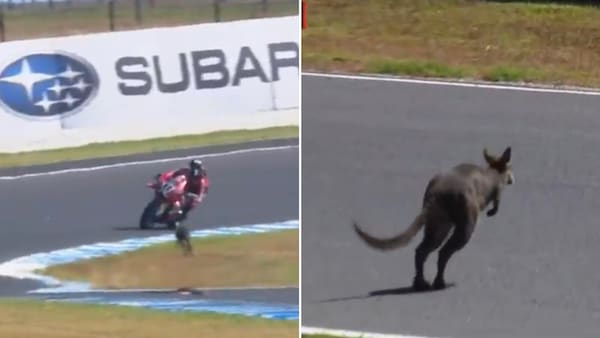SBK, solo un canguro ferma Bulega nel venerdì di Phillip Island