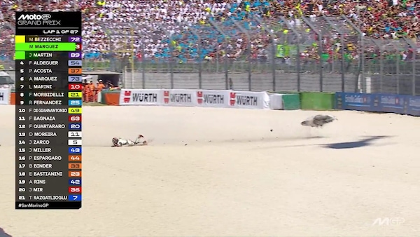 MotoGP, shock a Misano: Marco Bezzecchi cade mentre era in testa