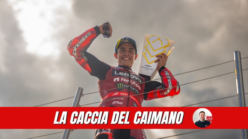 LA CACCIA DEL CAIMANO
